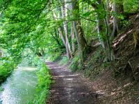 Wanderweg entlang dem Mühlbach